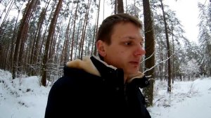 Максимальный размер шин на Nissan Almera N16