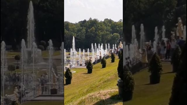 Фонтаны льються рядом с золотыми статуями в Петергофе ⛲? #shorts #петергоф #фонтаны #рустин #статуи смотреть онлайн