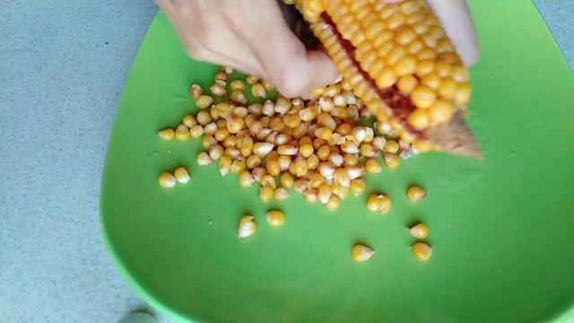 Кукуруза. Лёгкий способ очистки зёрен . смотреть онлайн