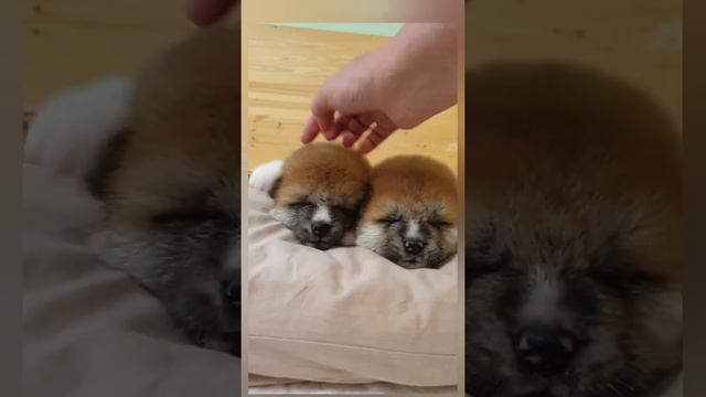 Было..Стало.. смотреть онлайн