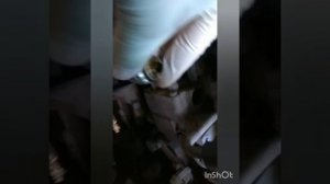 Снятие клапана отсечки, WL-T, SGLR