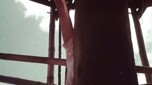 The Big Bird Cage (1972, trailer) [Pam Grier, Carol Speed, Anitra Ford, Candice Roman] смотреть онлайн