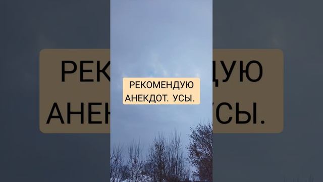 РЕКОМЕНДУЮ АНЕКДОТ. УСЫ. смотреть онлайн