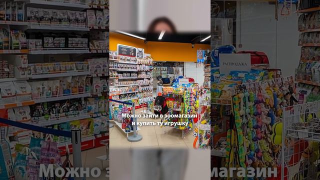 Делай так, ЕСЛИ ЛЮБИШЬ СВОЮ СОБАКУ! #shots смотреть онлайн