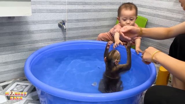 Monkey Kaka and baby Diem is happy because has a new super big bath смотреть онлайн