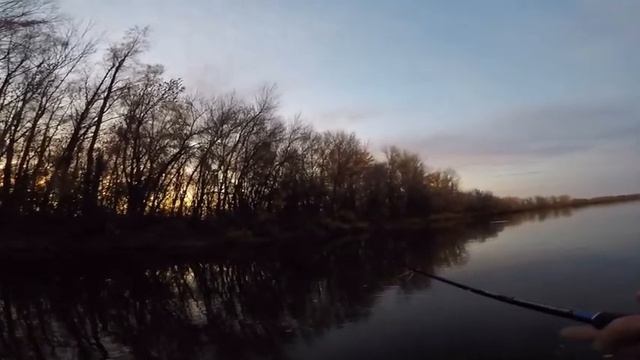 Утренний клев судака! Рыбалка 2019 в САМАРЕ! смотреть онлайн