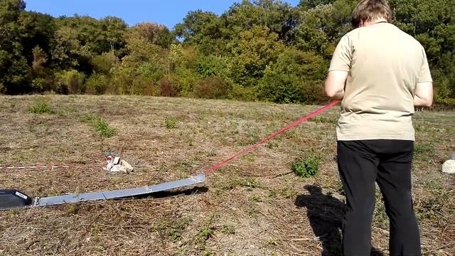 Полевая демонстрация моностатического георадара «Питон-3» для геологоразведки смотреть онлайн