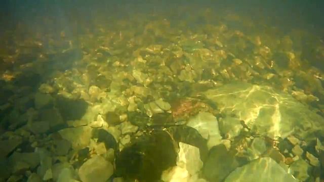 рыбалка на р. шарью в 2017 смотреть онлайн