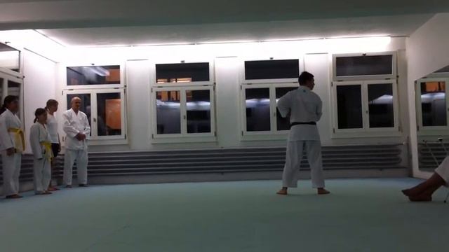Rocco Luciano Russo - Karate Marrone 1 Kyu.MOV смотреть онлайн