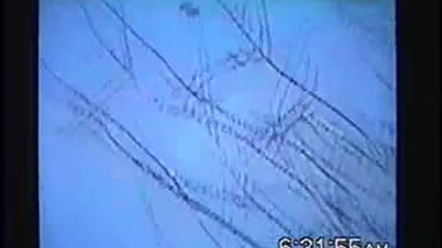 Любительская съёмка НЛО ashlandclip смотреть онлайн