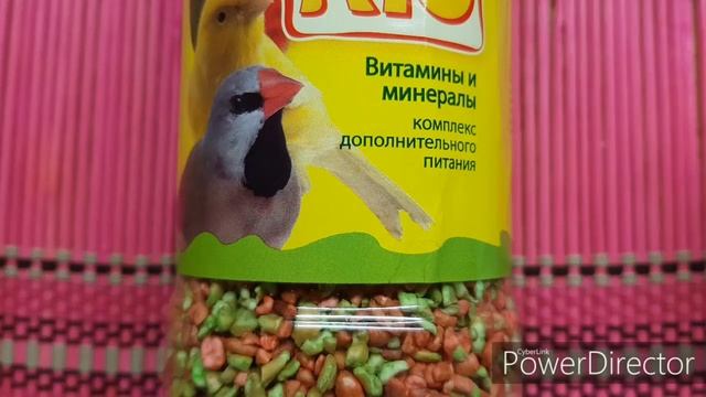 РЕЦЕПТ ЛАКОМСТВА - ФУРАЖИЛКИ ДЛЯ ПОПУГАЕВ ИЗ ШИШЕК / Recipe of sweets for parrots from cones смотреть онлайн