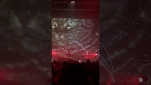 4 Позиции Бруно - Охотник (mutabor live)