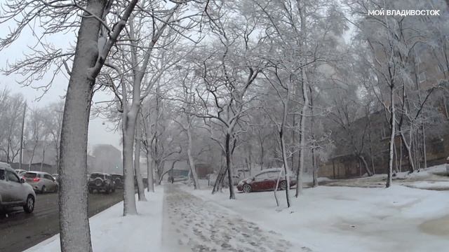 Мартовский снег во Владивостоке (19 марта 2020). смотреть онлайн