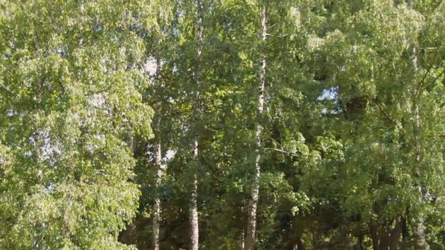 Красивая природа...Просто для души смотреть онлайн