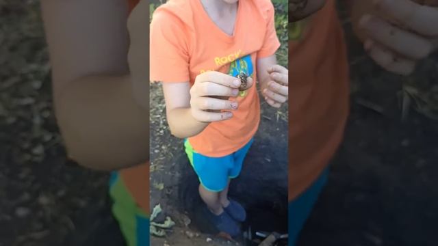 Нашёл трюфель в огороде!!! смотреть онлайн