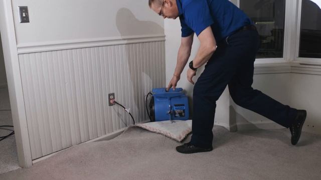Dri-Eaz Sahara Pro X4 Air Mover for Drying After Cleaning and Floods смотреть онлайн