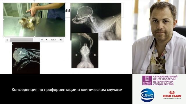 20 - Вилковыский И. Ф. - Ортопедия, травматология смотреть онлайн