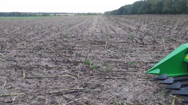 Уборка соняшника Неома. Настройки комбайна КЕЙС 2388.