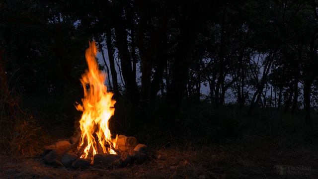 4K Campfire By The Sea - Crickets & Ocean Waves - Night Forest Nature Sounds - Relaxing Fireplace