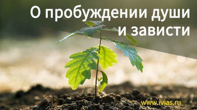 О пробуждении души и зависти | Книга жизни смотреть онлайн