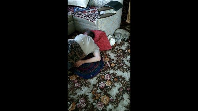 Кот и хозяин Идиллия смотреть онлайн