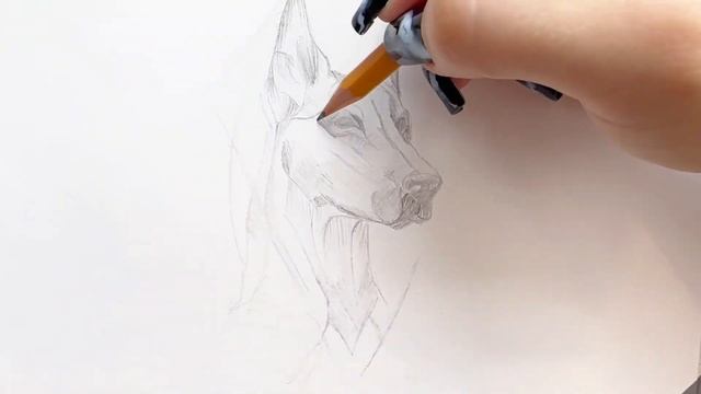 Доберман-Невероятно Талантливые Служебные Собаки! Рисуем Карандашом! Легко и Просто!! смотреть онлайн