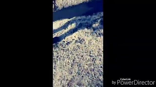 Лёх,лёх,когда я был в 1-ом классе... смотреть онлайн