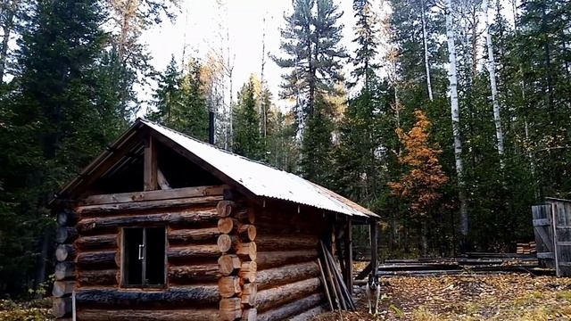 Подготовка к охоте на болотоходе смотреть онлайн