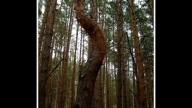 Город и природа смотреть онлайн