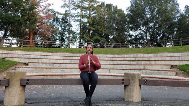 Pani Vizhum Iraavu - Clarinet Cover by #Shravani Venkatesh, MusicForYears, USA. смотреть онлайн