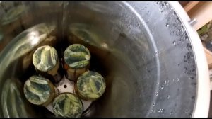 Хрустящие огурцы, кабачки и болгарский перец в автоклаве | Кабачки со вкусом огурцов!