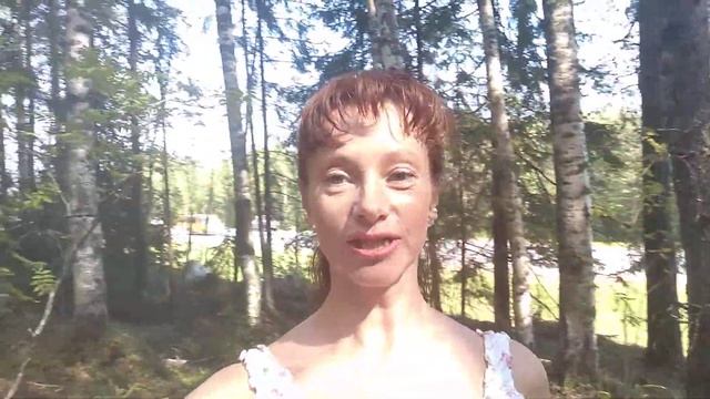 Жаркое лето 2018 - черника, брусника сгорели, в лесу ягод нет... Печалька смотреть онлайн