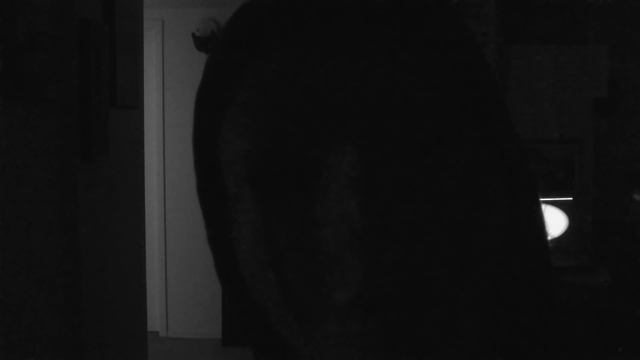 P.  C.  Pussy - $alt MAC (Prod. J7)