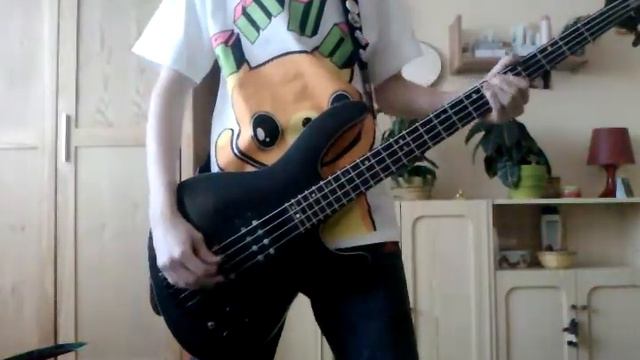 The Paranoid - Noc patrí nám bass cover смотреть онлайн