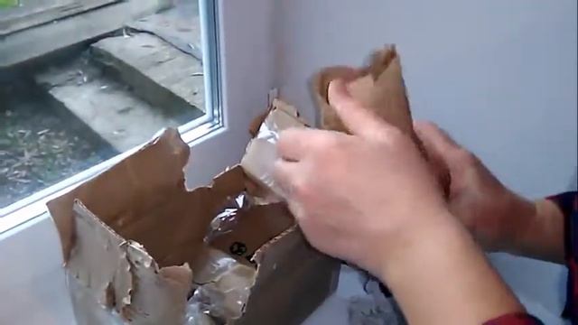 Посылка с черенками Королевской пеларгонии смотреть онлайн