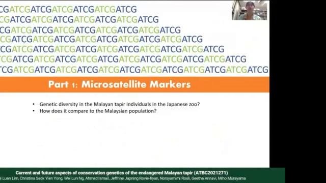 ATBC2021 [Lightning talks] Conservation Genetics and Genomics in the Face of Global Change смотреть онлайн