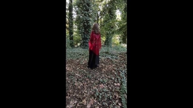 Тёмно красный большой пуховый платок паутинка, Русская расшитая шаль, Тёплая накидка невесты смотреть онлайн