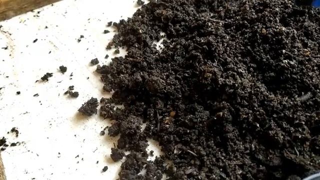 Влияние Температуры на рост Червя смотреть онлайн