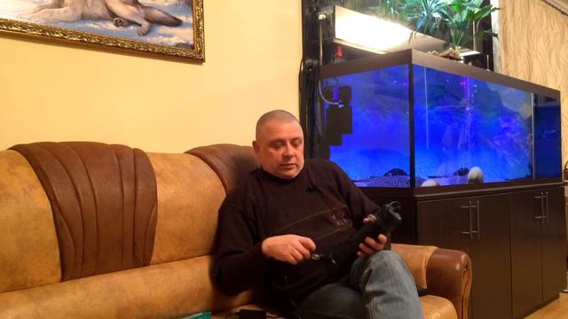 Ультрафиолетовый стерилизатор. Домашний аквариум доступен для всех. смотреть онлайн