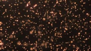 Фон-маска. Звёзды 19