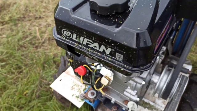 Курочки тоже хотят кушать. смотреть онлайн