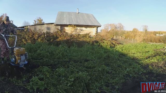 Горчица просто растворилась в земле после мотоблока Нева МБ23 ... смотреть онлайн