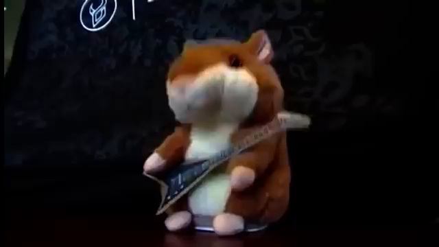 Хомяк повторюшка рок звезда смотреть онлайн