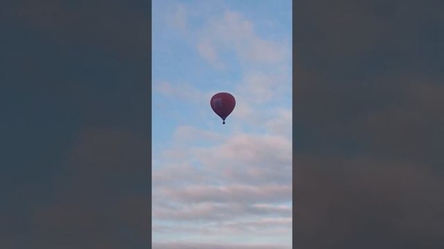 Винни-Пух летит за мёдом смотреть онлайн