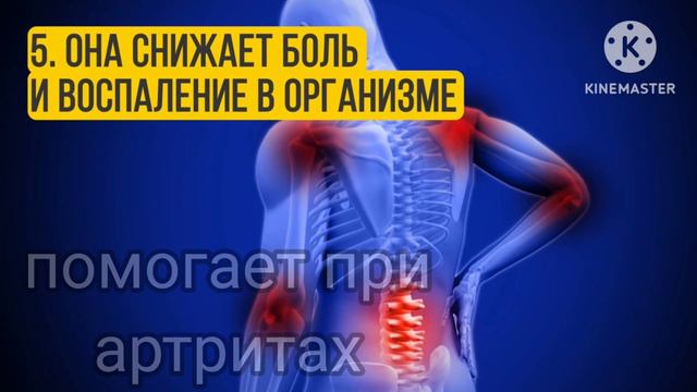 ГОТОВЛЮ АМЕРИКАНСКИЙ ЗАВТРАК❤️ПОЛЕЗНЫЕ СВОЙСТВА ГВОЗДИКИ❤️ИММИГРАНТЫ В США смотреть онлайн