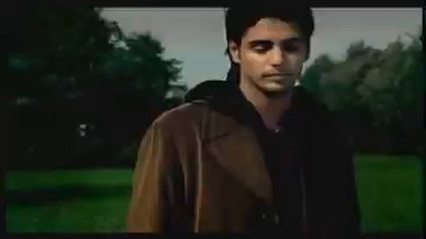 Корни Плакала береза