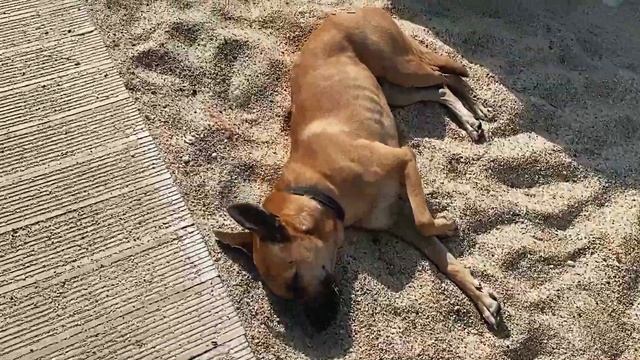 Пляж Клеопатра. Пещера Дамлаташ. Аланья, окончание сезона 2023 смотреть онлайн