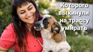 25-МУ НАШЛИСЬ РУЧКИ?