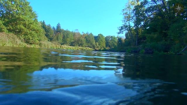 ПОДВОДНАЯ ОХОТА. РЫБНЫЕ КОРЯЖНИКИ. СПЛАВ по МАЛЫМ РЕКАМ. КОМПАС №43