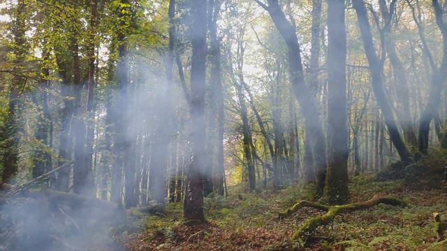 Żurek, Żureczek, Żurunio SOUR SOUP Served In Bread Bowl. 🌲🌲🌲 Cooking🔥🔥🔥